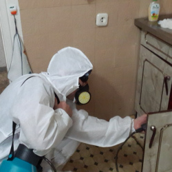 Дезинфекция от муравьев в квартире в Верхнем Уфалее