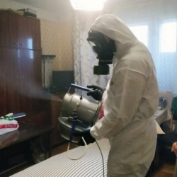 Дезинфекция от клопов в Верхнем Уфалее