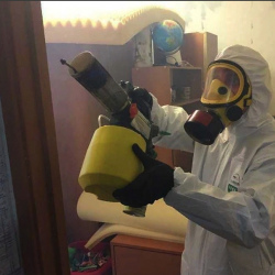 Уничтожение клопов в квартире. Верхний Уфалей